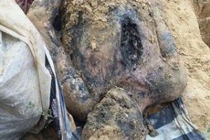 जनकपुरमा एक दर्जनभन्दा बढी लास भेटियो