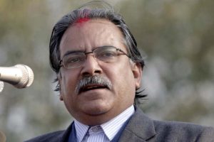 शुसिल कोइराला भारतको वफादार कुत्ता : प्रचण्ड