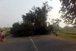 उग्र बन्यो आन्दोलन, राजमार्गमै डेरा जमाए आन्दोलनकारीले