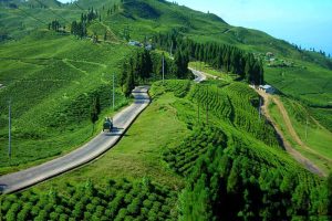 ३५ लाखको लगानीमा इलामको अन्तुमा पर्यटन केन्द्र निर्माण