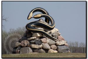 भेला हुन्छन हजारौँ सर्पहरु जाहाँ हुन्छ सर्पहरुको रहस्यमय वैठक पनि (फोटो फिचर)