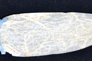 एउटा कण्डमको मुल्य ७० हजार ! (भिडियो)