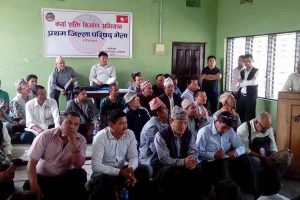 नयाँ शक्तिको जिल्ला अधिवेशन