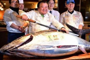 मूल्य १ करोड २० लाखमा बेचियो एउटा माछा