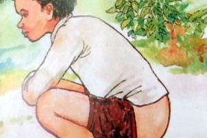 बवियामा खुृला दिसा गर्न नपाइने