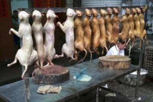 तपाईले थाहा नपाएका चीनको १० रोचक तथ्य : जुन थाहा पाएर तपाई आश्चर्यमा पर्नु हुन्छ