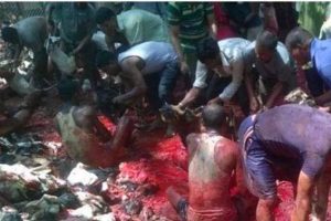 बुद्ध जयन्तीकै दिन लहानमा रगतको खोलो बग्यो