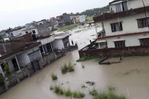 भारी वर्षाका कारण दुईको मृत्यु , मोरंग, सुनसरी, सप्तरी र झापाका सयौ घर डुबानमा