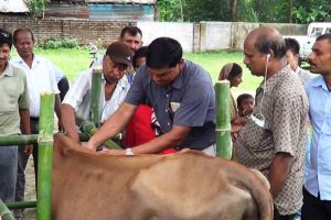 पहिलो पटक मधेशामा निःशुल्क पशु स्वास्थ्य शिविर