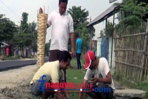 वातावरण दिवसमा युवाहरुद्धारा वृक्षारोपण