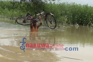 सुनसरीको दक्षिणी गाविस बाढीले बढी प्रभावित