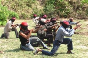 जंगलमा देखिए नयाँ ‘जनसेना’