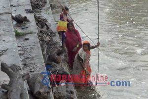 कोशीमा निर्वाध माछा मारिदै, दाउरा निकाल्नेको भिड