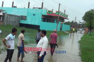 पानी निकाशको माग गर्दै नगरवासीद्धारा नपाको ध्यानाकर्षण