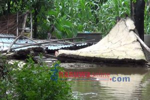 प्रकाशपुरमा बाहुनी खोला किनारका ४० घर डुबानमा