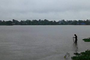 कोसी नदीको भँगालोमा १२ सय जना : गहुँको पिठो खाएर गुजारा