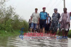 बाढीको कटान रोक्न प्रशासनको पहल