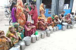 गाईभैसीको दूध बेचेर महिला गर्छन मनग्य आम्दानी