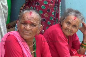 सुनसरीमा जेष्ठ नागरिक परिचय पत्र लिनेको भिड