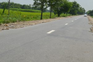 पुर्वी तराइका किसानहरु मुख्य नगदे बालि मध्ये एक सनपाट (पटुवा)