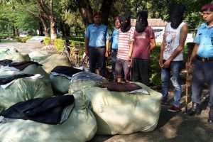 प्रहरीकै मिलेमत्तोमा तस्करी : मासिक लाइन खाने सईको सरुवा