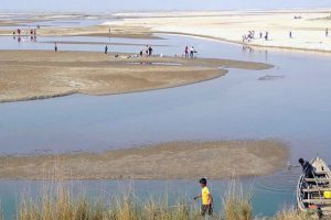 काेशी किनार : बनभोजमा ब्यस्त