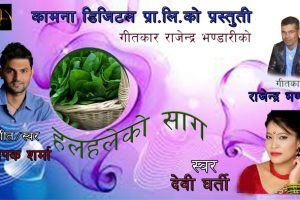 तिमले हलकै बढेको हलहलेको साग हो अव युटुवमा (भिडियो)