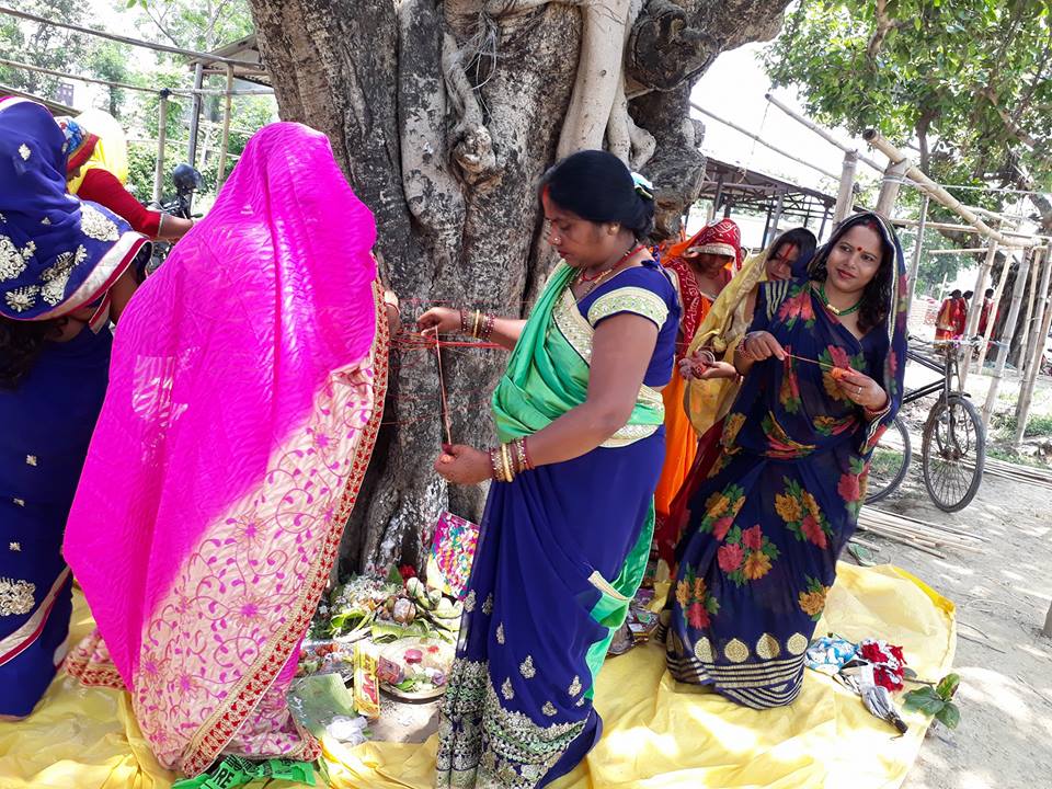 पतिको दीर्घायुको कामनाका साथ वट सावित्री पर्व मनाउँदै