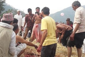 यस्ताे परम्परा जहाँ ६४ वटा बोका मान्छेको दाँतले काटेर मारिन्छ