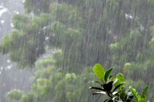 आज कोशी प्रदेशको केही स्थानहरूमा भारी वर्षाको सम्भावना