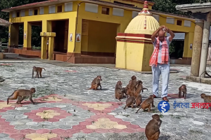 सिङ्गारिदै आस्थाको केन्द्र “रामधुनी” (भिडियो रिपोर्ट)