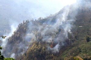 डढेलो नियन्त्रणमा नआउँदा फुङ्लिङका आधा बस्ती जोखिममा