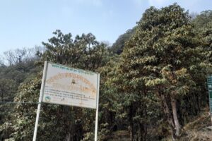 ताप्लेजुङमा परेन पानी , फुलेन गुरास , पर्यटकहरू आउछन सेल्फी नखिची फर्किन्छन