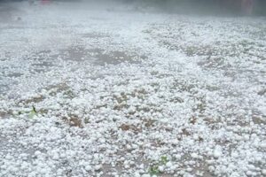 झापामा हावाहुरीसहितको असिना पानीले लाखाैकाे क्षति