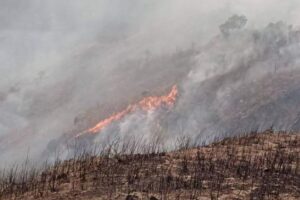 खाेटाङकाे सामुदायिक बनमा ४ दिन देखि डढेलाे : पाइप जलेपछि विद्यालमा खानेपानी नै बन्द
