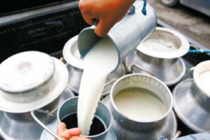 कोशी प्रदेशमा दूधमा प्रतिलिटर दुई रुपैंयाँ अनुदान