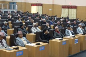 काेशी प्रदेश : संसद्बाट नीति तथा कार्यक्रम अध्यादेशमार्फत बजेट !