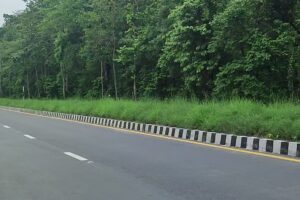 अपडेट: तरहराकाे जंगलमा गोली प्रहार , घटना पछि सिमामा कडाइ, अभियुक्त समात्न बिशेष अप्रेसन