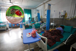 धरानमा डेंगी संक्रमितको संख्या १० हजार नाघ्यो : मृत्यु हुनेकाे संख्या ११ पुग्याे