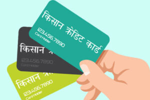 दिक्तेल रुपाकोट मझुवागढीका किसानलाई ‘किसान क्रेडिट कार्ड’