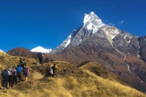 ताप्लेजुङ देखि दार्चुला सम्म ग्रेट हिमालयन ट्रेल पदयात्रा सुरु