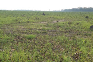 बजेट अभावले उदयपुरमा राेकीयाे विमानस्थल निर्माणकाे काम