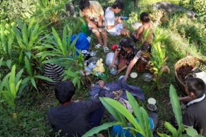 ताप्लेजुङका किसानलाई अलैँची टिप्न भ्याइ नभ्याइ , बगानमै मनाए दसैँ