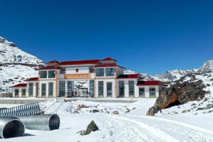 टिप्ताला नाका नखुल्दा चौंरी बिक्री ठप्प, नुन खुवाउने पैसा जुटाउन समेत किसानलाई धाै –धाै