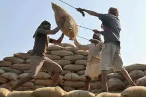 घट्यो बासमती चामलको भाउ