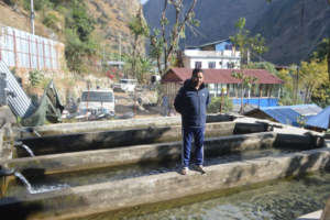 राजनीतिसँगै व्यावसायिक माछापालनमा रमाउँदै गाउपालिका अध्यक्ष गुरुङ