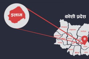 इलामको देउमाई नगरपालिकाले एकल पुरुषलाई मासिक भत्ता दिने