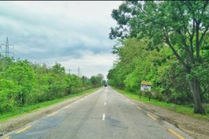 एसियाली राजमार्ग : आसपासका रुखमा टाँचा लगाउन थालियो