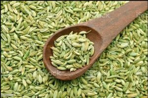 मसिनाे साैंफकाे फाइदा अनेक : आँखाको ज्योति बढाउछ ,अरू के के छन फाइदा ?