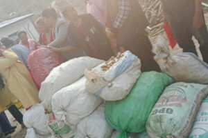 बेसार प्रवर्द्धन गर्दै इलामको माङसेबुङ पालिका